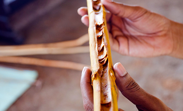 The Cinnamon Story - Experience - Sri Lanka In Style